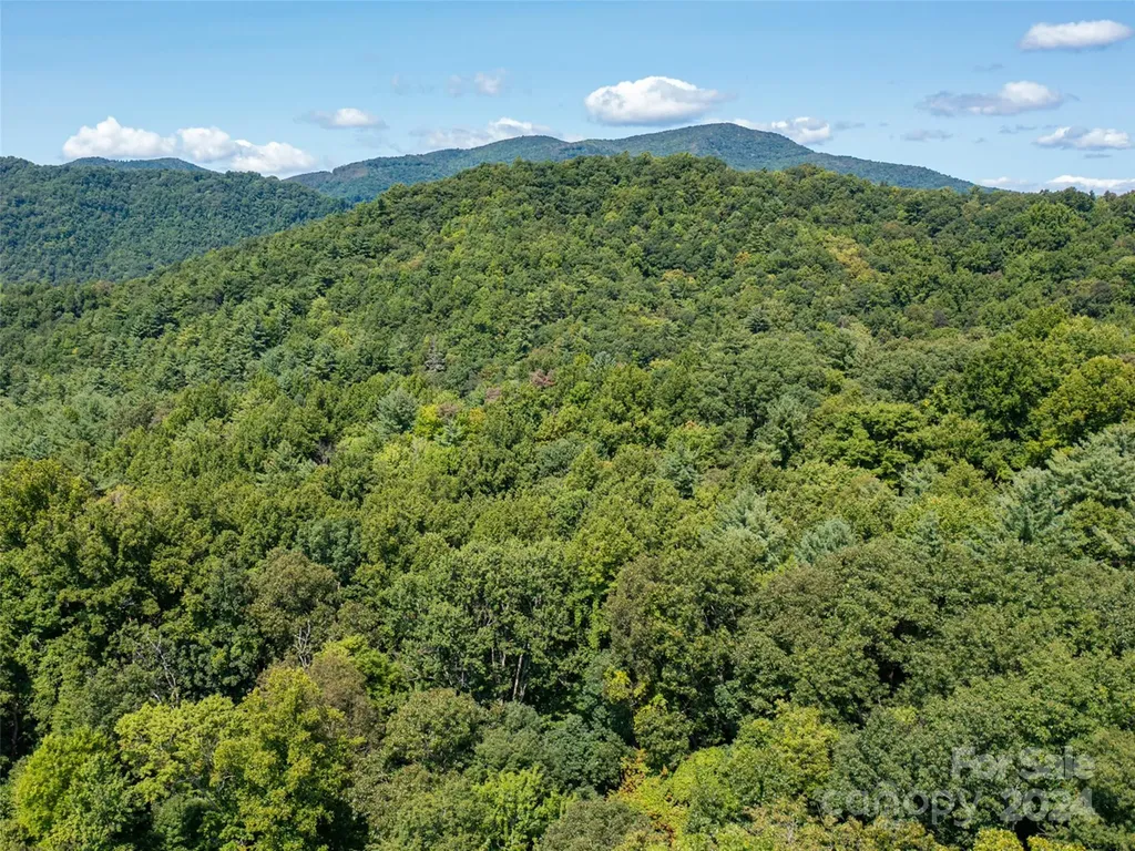 00000 Meadow Fork School Road Hot Springs NC 28743