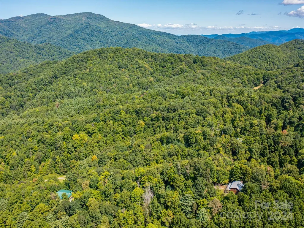 00000 Meadow Fork School Road Hot Springs NC 28743