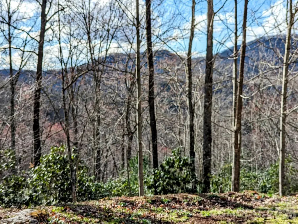 0 Dodgen Ridge Road Tuckasegee NC 28783