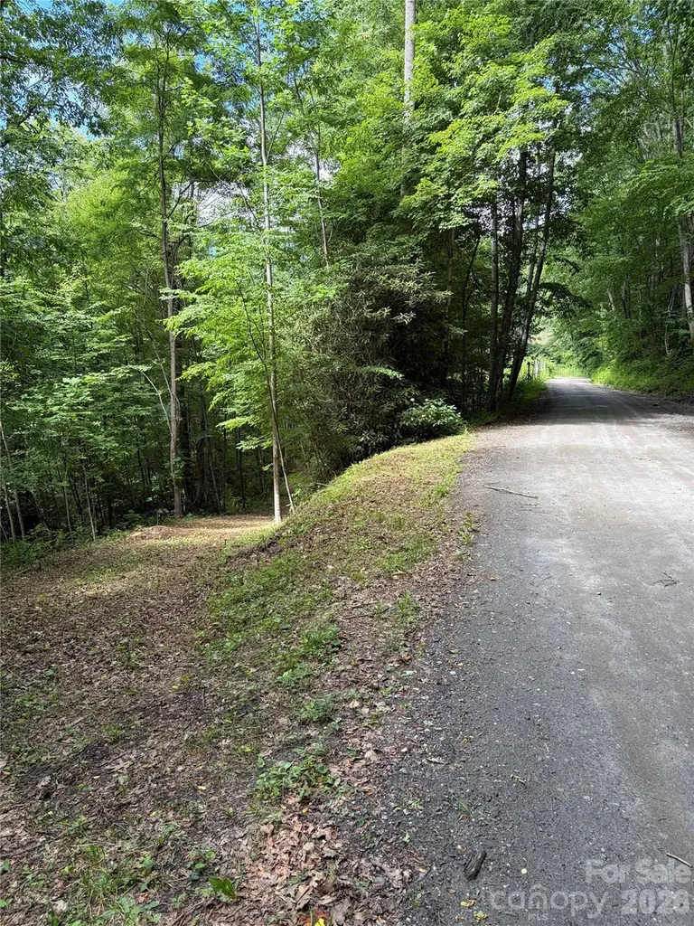 0 Dodgen Ridge Road Tuckasegee NC 28783