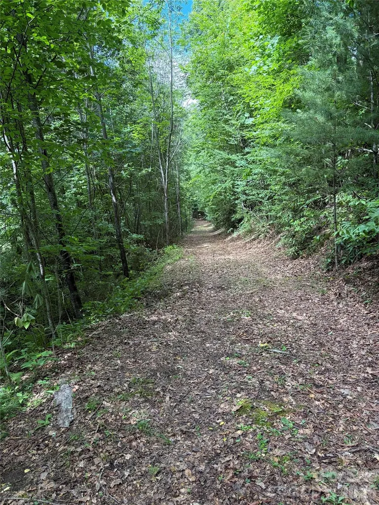 0 Dodgen Ridge Road Tuckasegee NC 28783