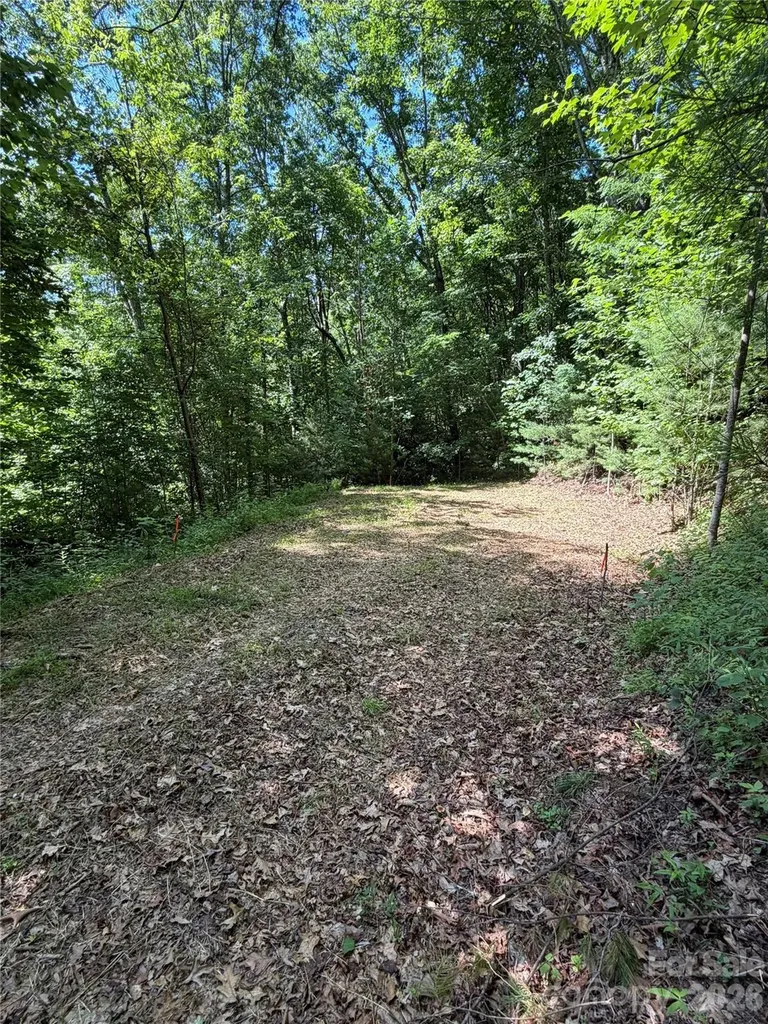 0 Dodgen Ridge Road Tuckasegee NC 28783