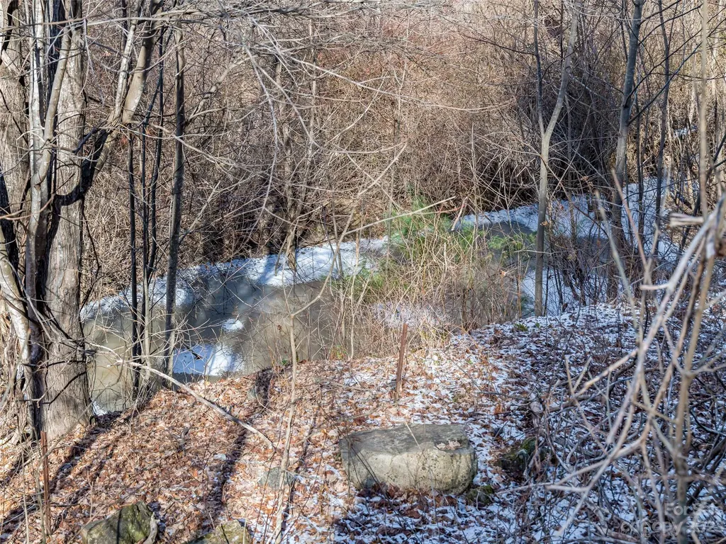 1592 & 1370 Bone Camp Road Marshall NC 28753
