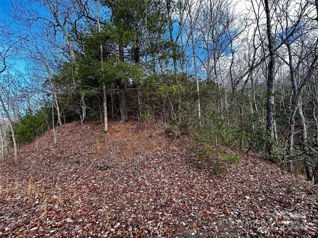 Lot 47 N Nickajack Road Franklin NC 28734