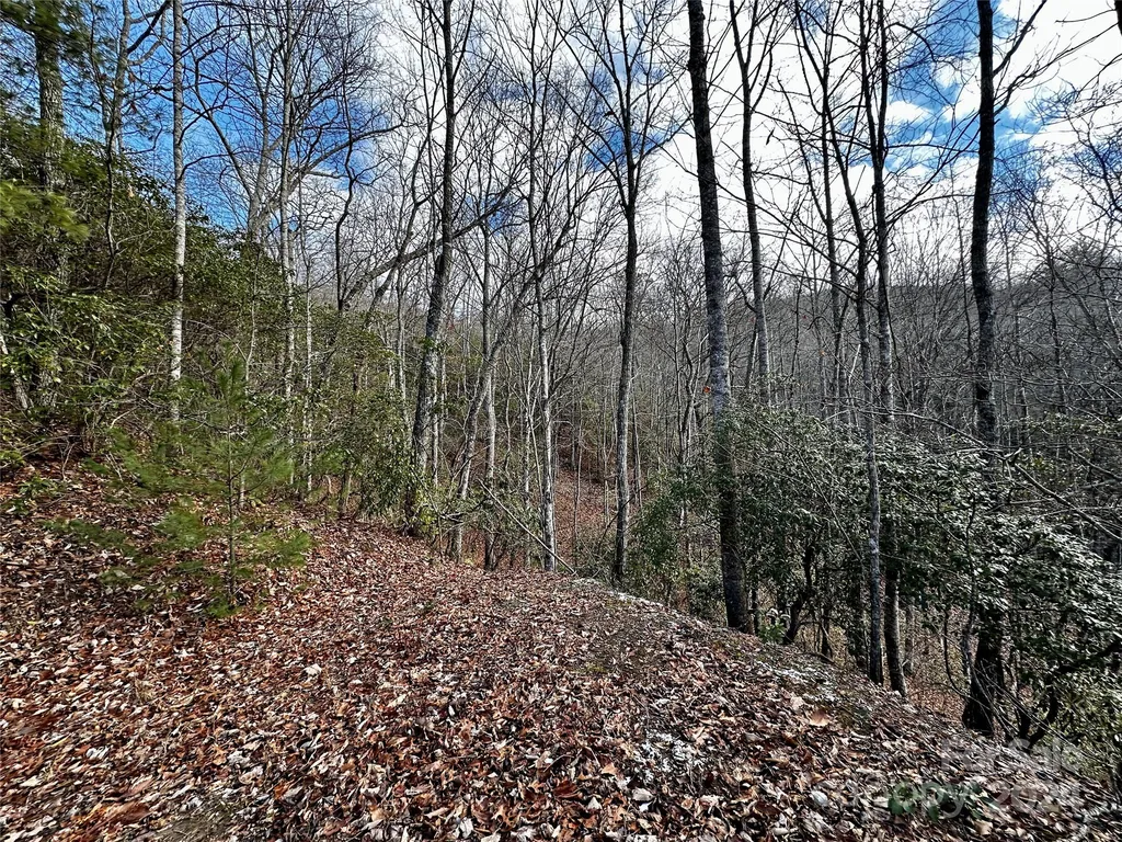 Lot 47 N Nickajack Road Franklin NC 28734