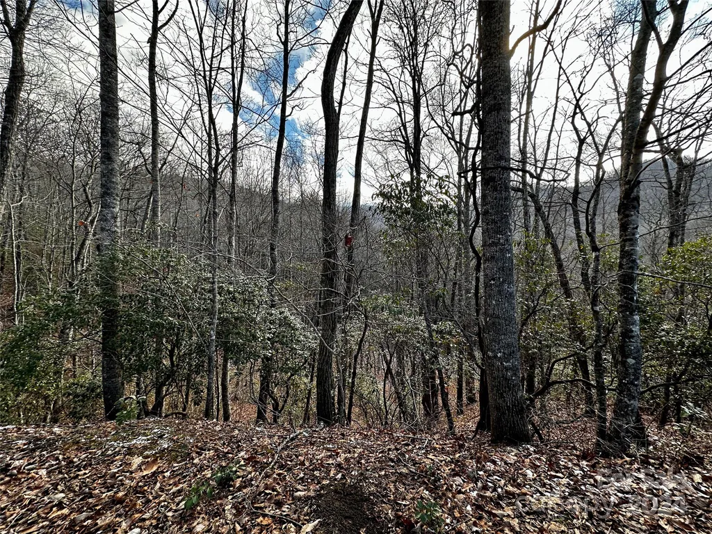 Lot 47 N Nickajack Road Franklin NC 28734
