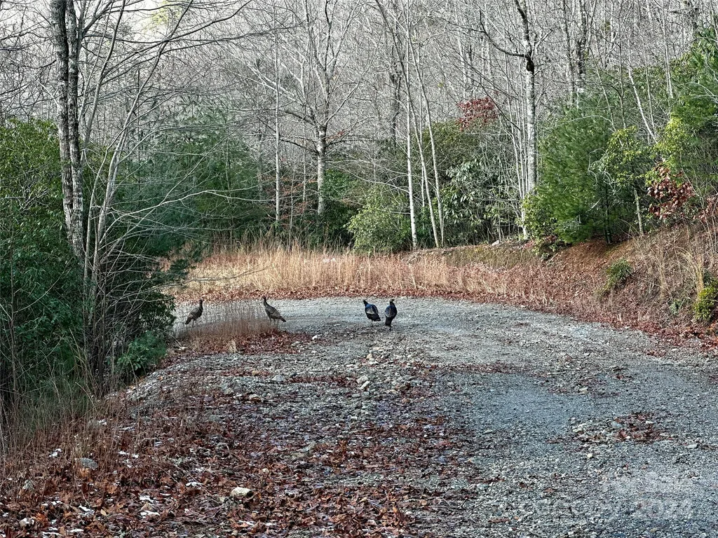 Lot 47 N Nickajack Road Franklin NC 28734