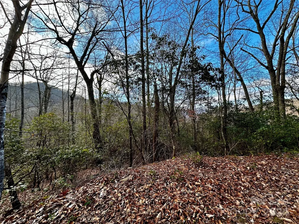 Lot 47 N Nickajack Road Franklin NC 28734