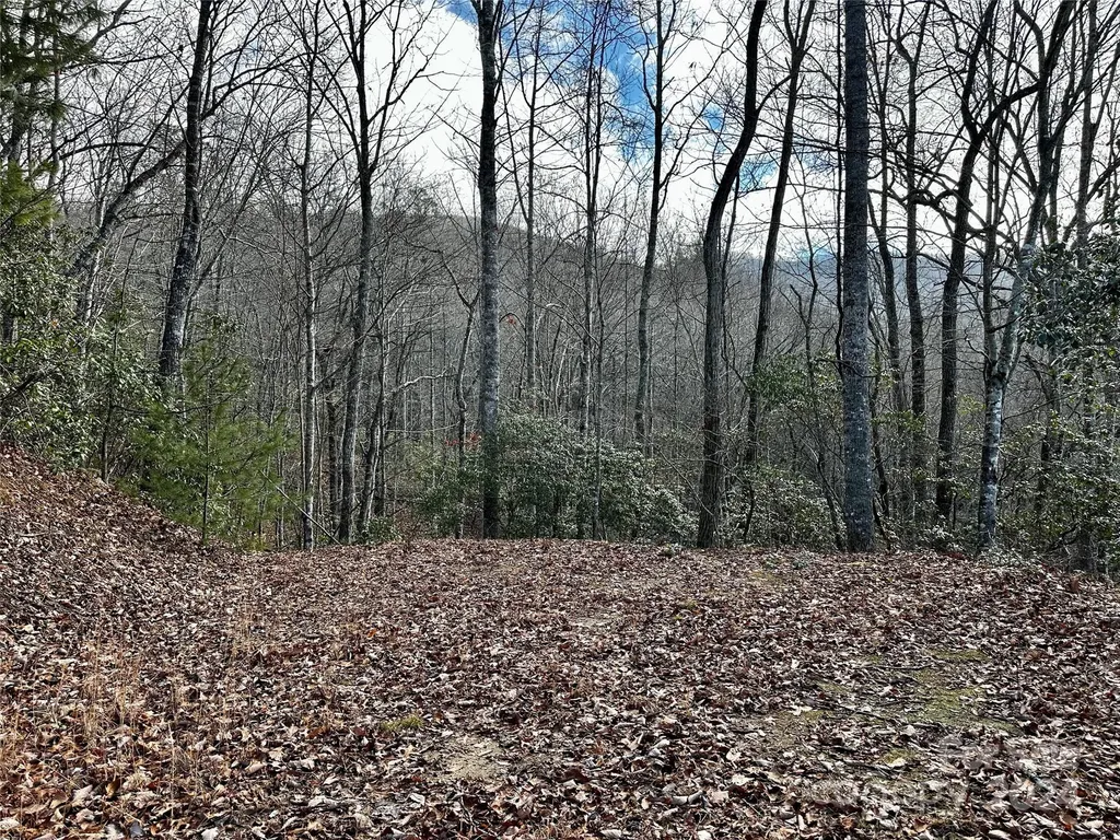 Lot 47 N Nickajack Road Franklin NC 28734