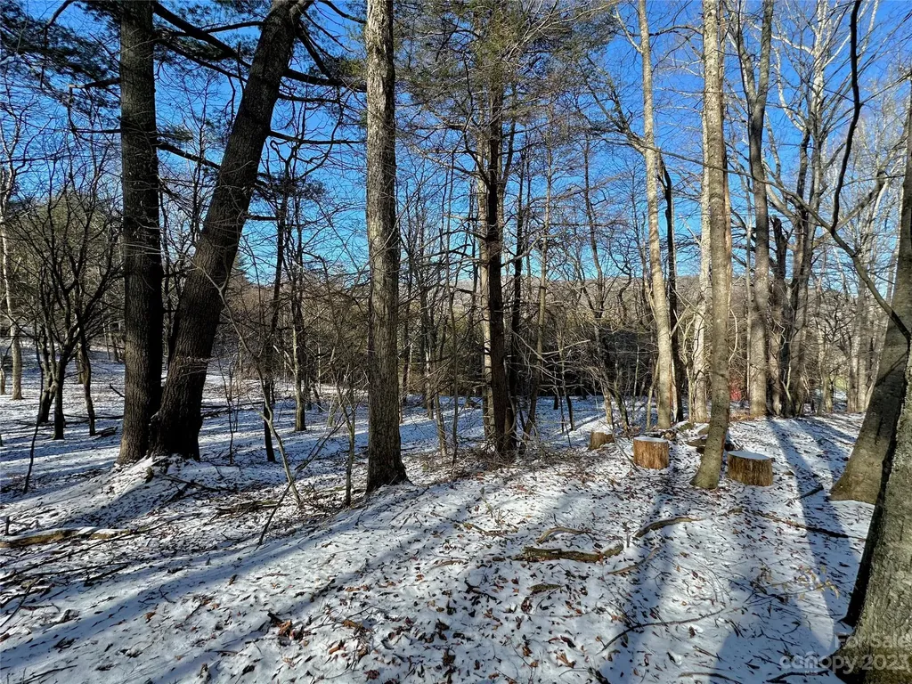 T4 Seneca Drive Boone NC 28607