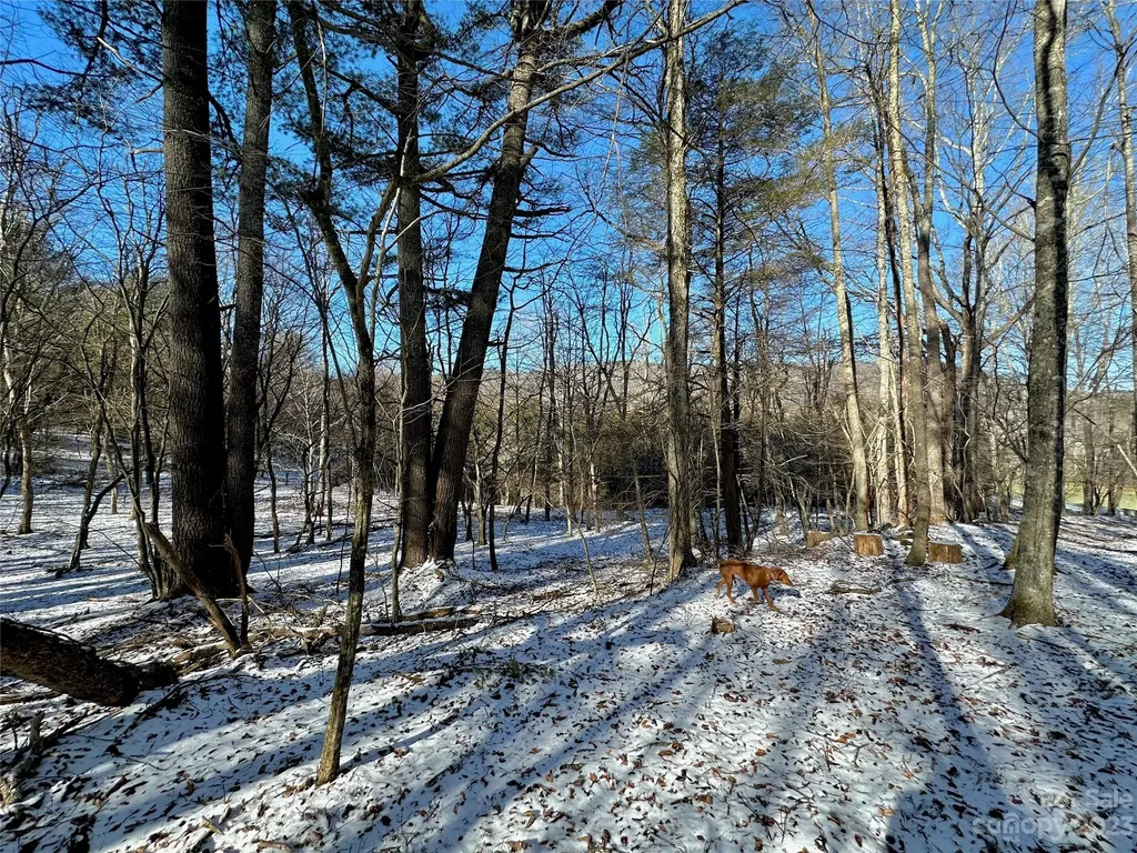 T4 Seneca Drive Boone NC 28607