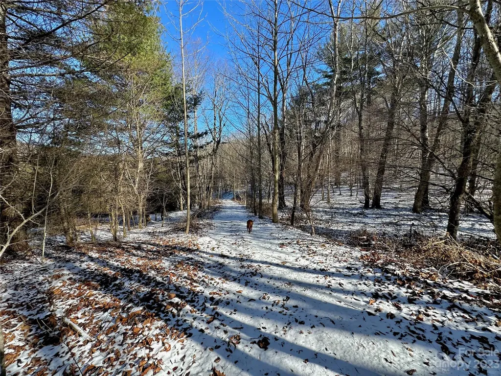 T4 Seneca Drive Boone NC 28607