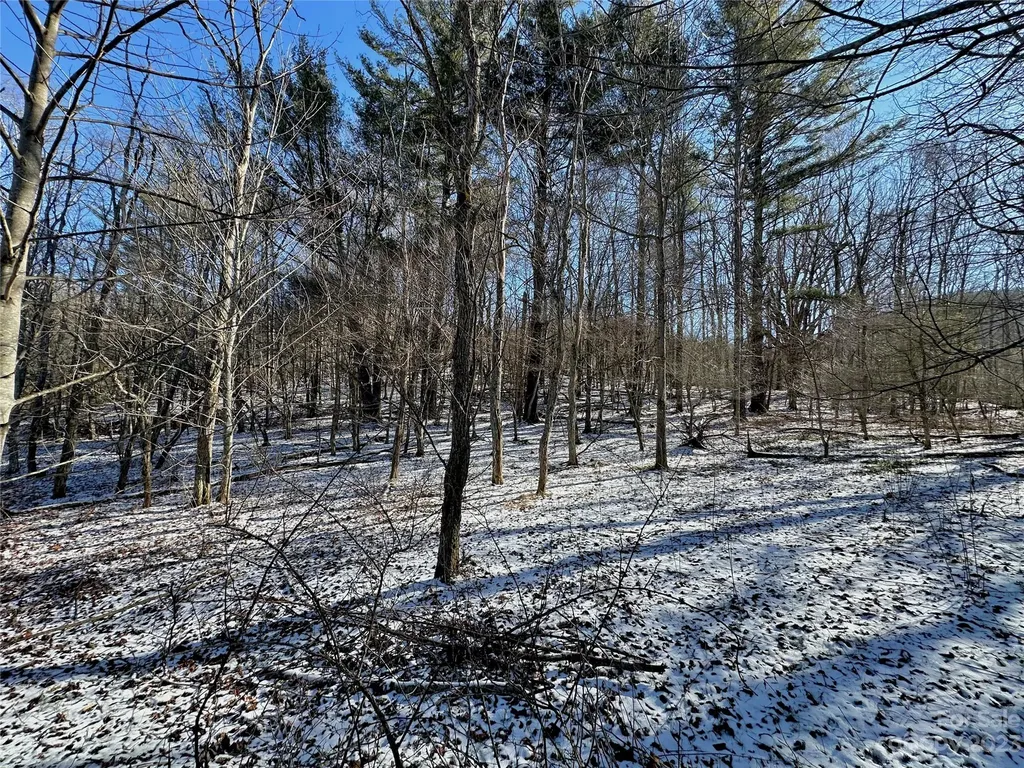 T4 Seneca Drive Boone NC 28607