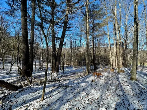 T4 Seneca Drive Boone NC 28607