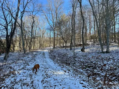 T4 Seneca Drive Boone NC 28607