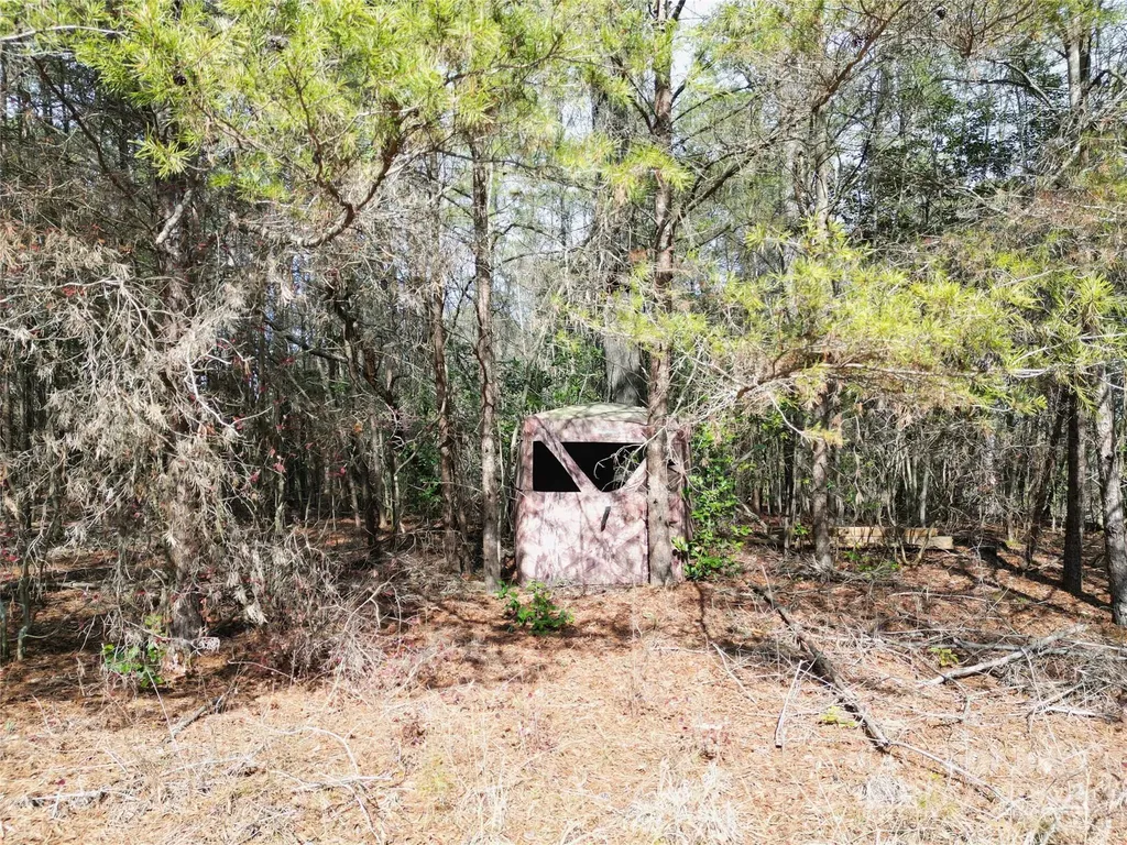 Tbd Grassy Island Road Ellerbe NC 28338