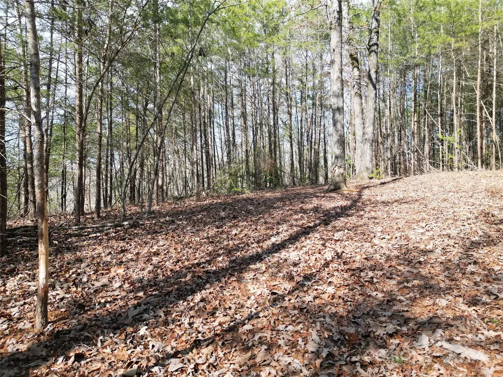 Tbd Grassy Island Road Ellerbe NC 28338