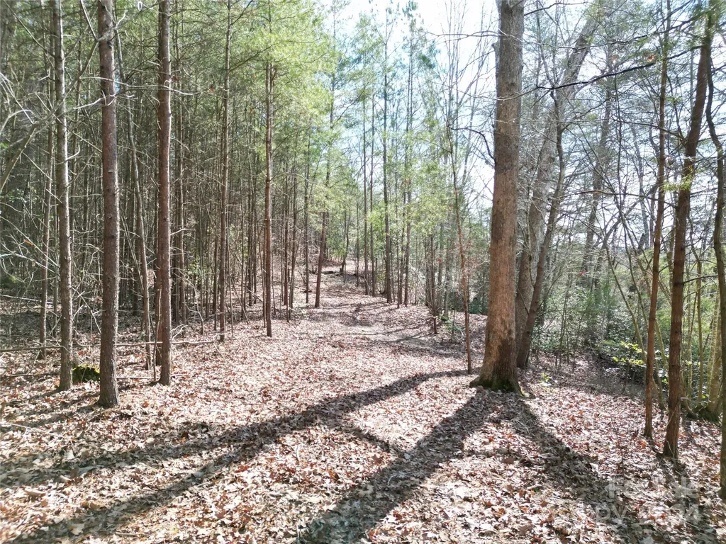 Tbd Grassy Island Road Ellerbe NC 28338