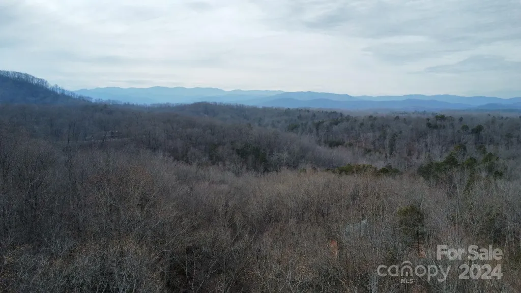 Lot #73 Black Lark Drive Marion NC 28752