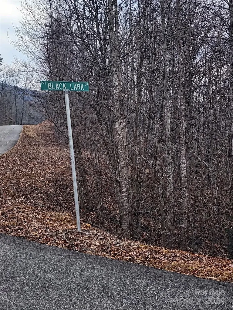 Lot #73 Black Lark Drive Marion NC 28752