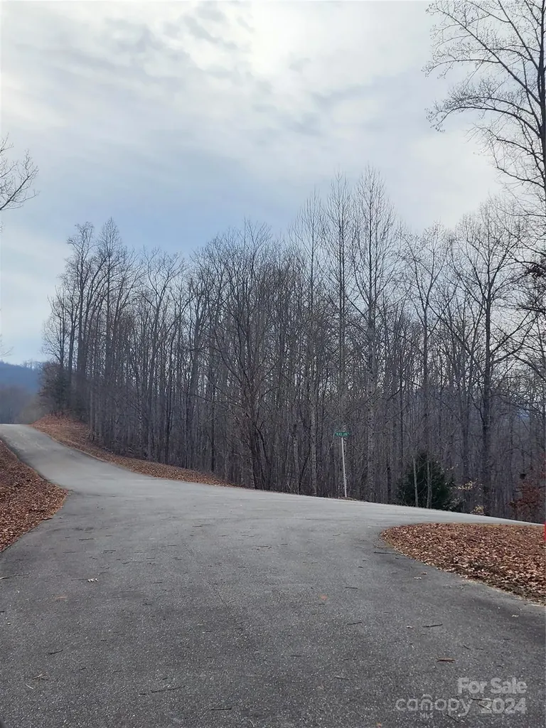 Lot #73 Black Lark Drive Marion NC 28752