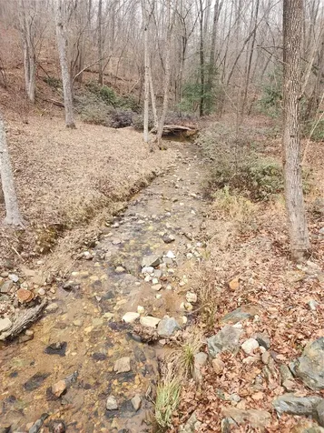 Lot #73 Black Lark Drive Marion NC 28752