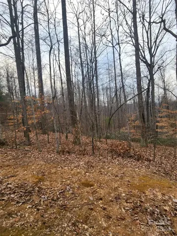 Lot #73 Black Lark Drive Marion NC 28752