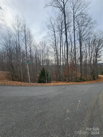 Lot #73 Black Lark Drive Marion NC 28752