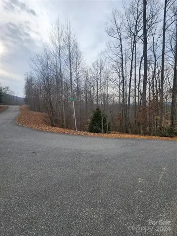 Lot #73 Black Lark Drive Marion NC 28752