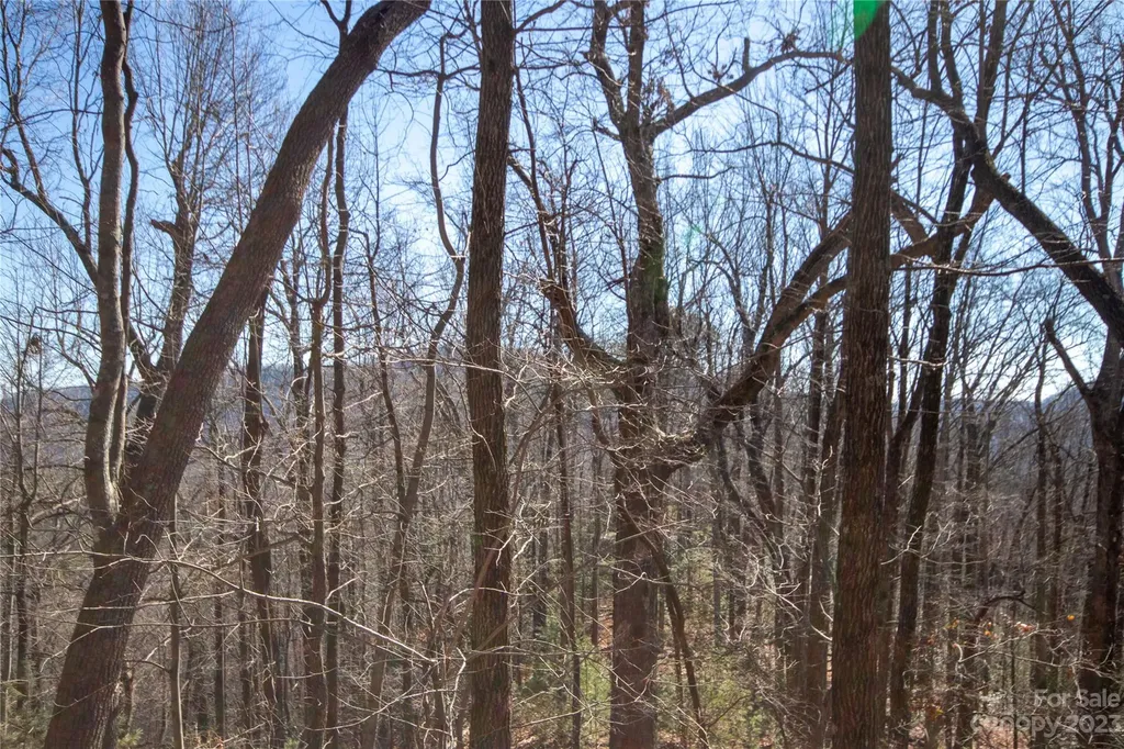 Lot# 502 Fire Crest Lane Lenoir NC 28645