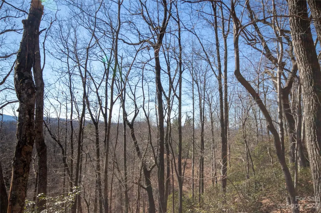 Lot# 502 Fire Crest Lane Lenoir NC 28645