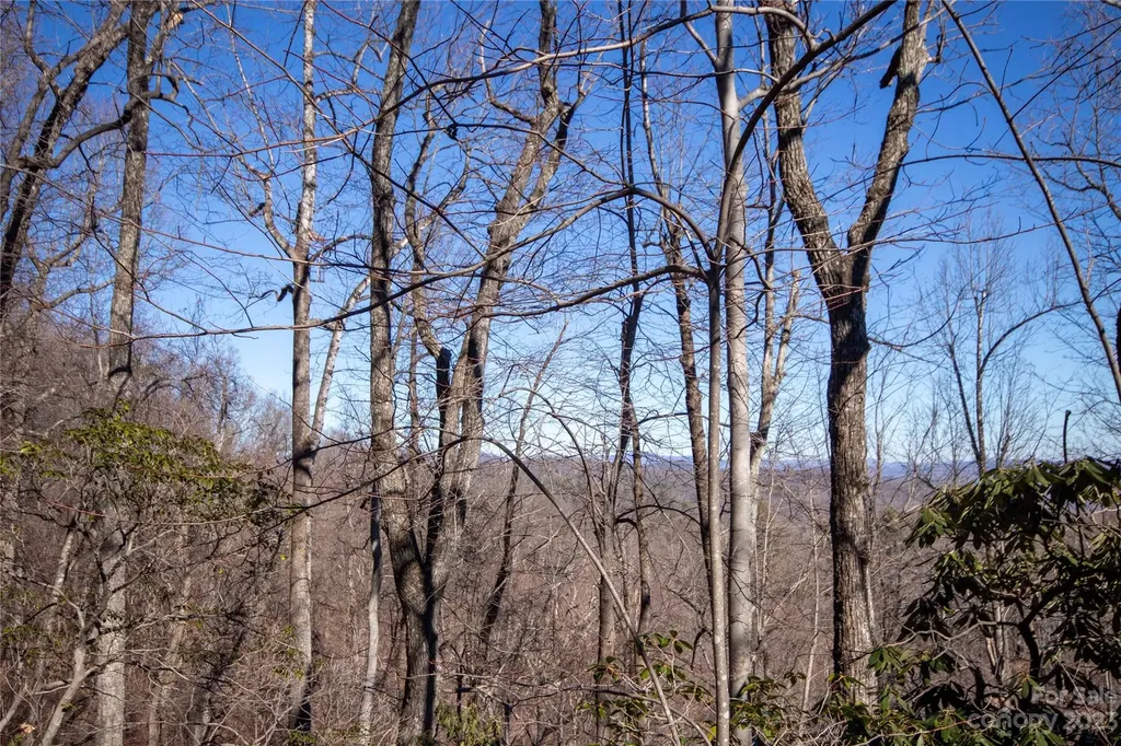 Lot# 502 Fire Crest Lane Lenoir NC 28645