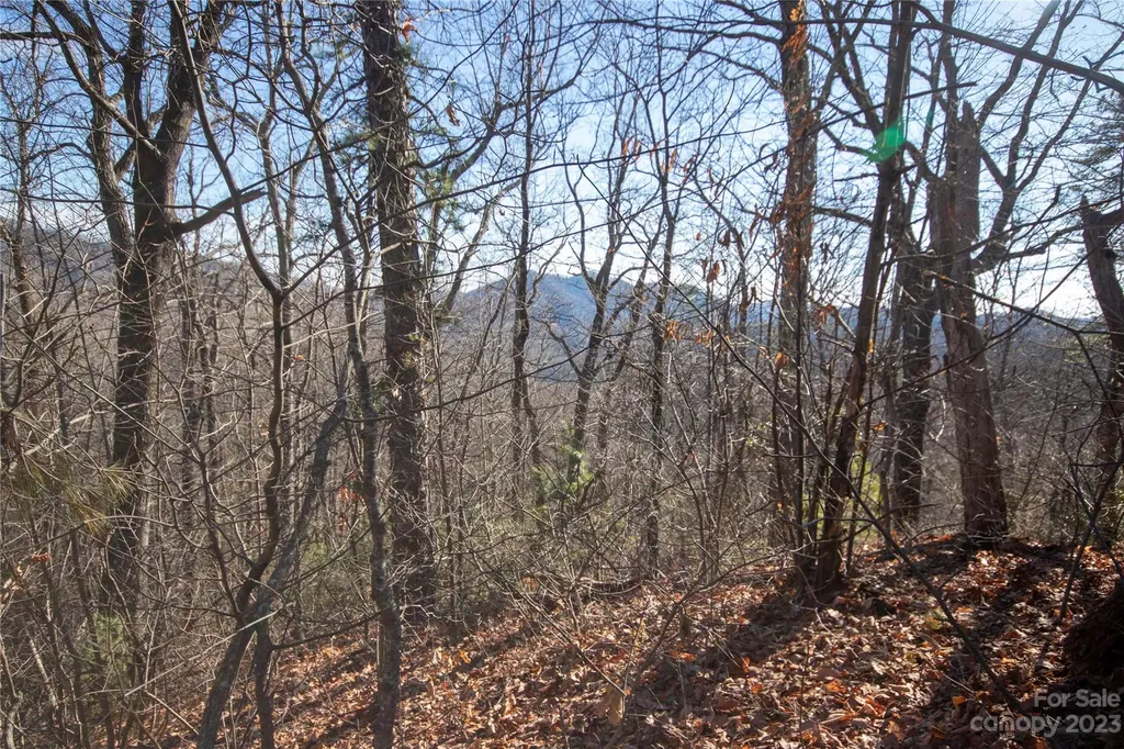 Lot# 502 Fire Crest Lane Lenoir NC 28645