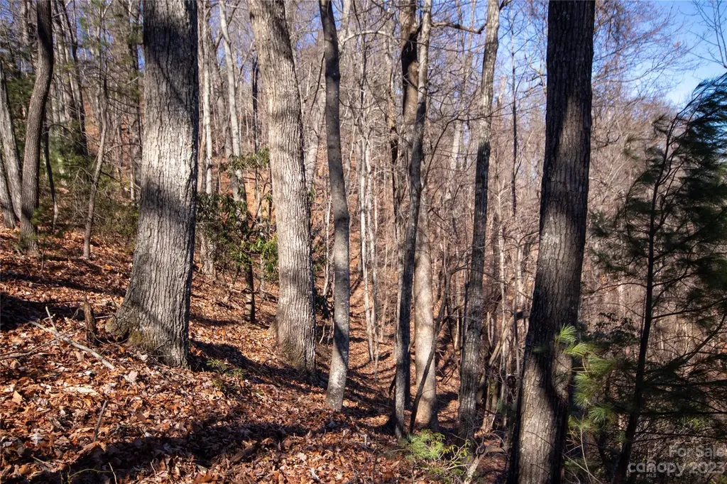 Lot# 502 Fire Crest Lane Lenoir NC 28645