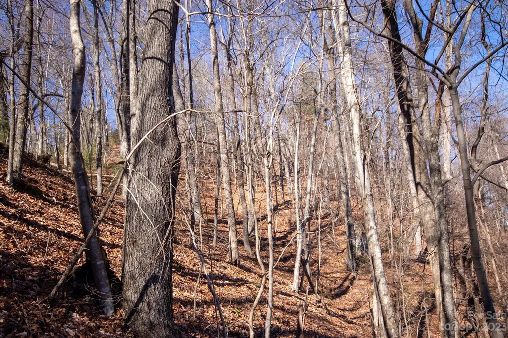 Lot# 502 Fire Crest Lane Lenoir NC 28645