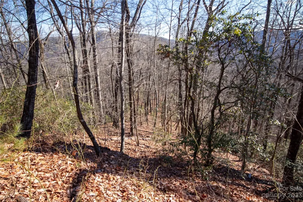 Lot# 502 Fire Crest Lane Lenoir NC 28645