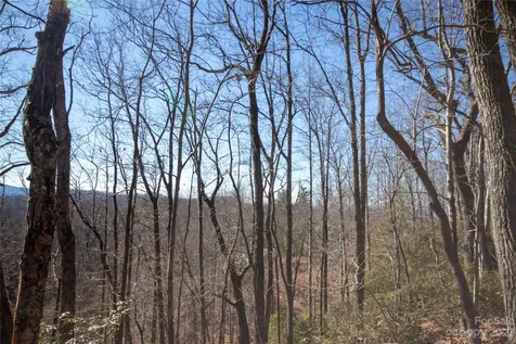 Lot# 502 Fire Crest Lane Lenoir NC 28645