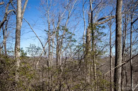 Lot# 502 Fire Crest Lane Lenoir NC 28645