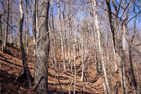 Lot# 502 Fire Crest Lane Lenoir NC 28645
