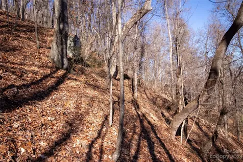 Lot# 502 Fire Crest Lane Lenoir NC 28645