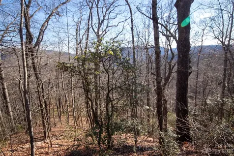 Lot# 502 Fire Crest Lane Lenoir NC 28645