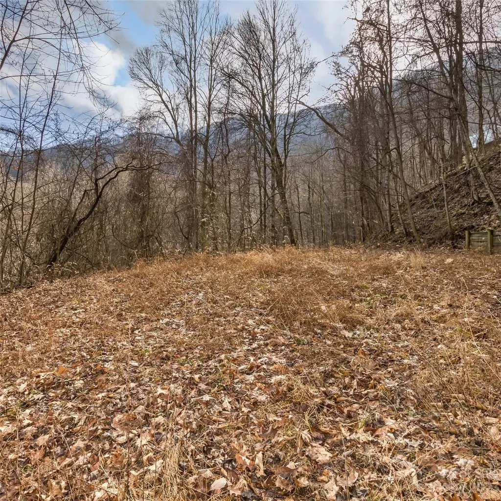3 Michael Drive Waynesville NC 28785