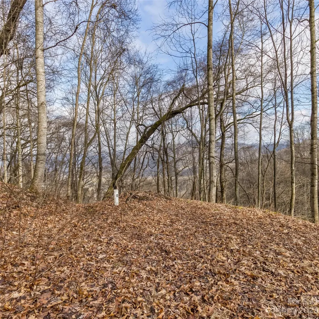 3 Michael Drive Waynesville NC 28785