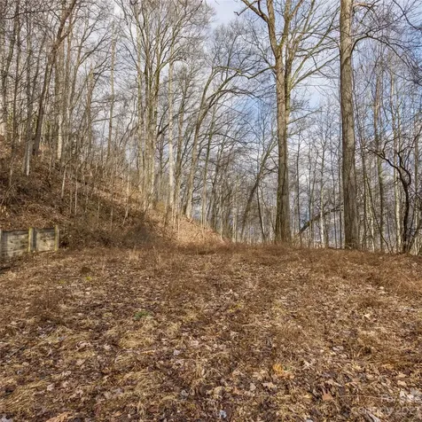 3 Michael Drive Waynesville NC 28785