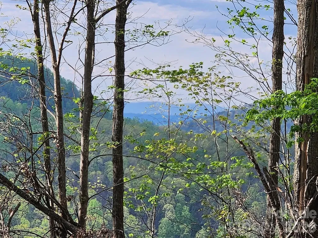 79 Longview Trail Bostic NC 28018