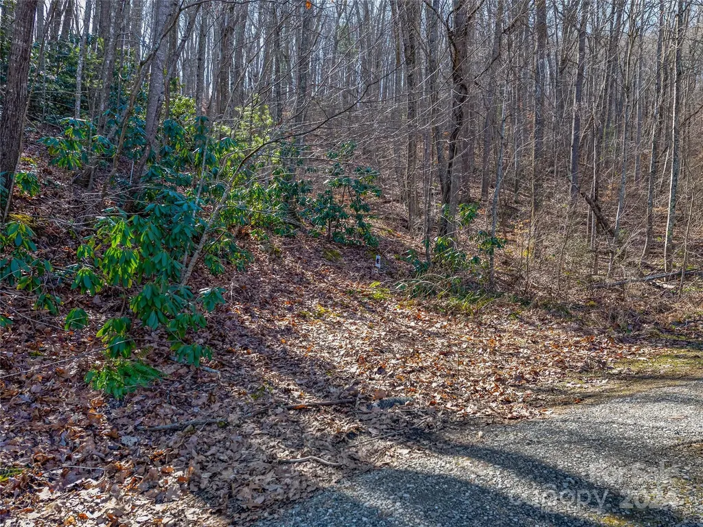 99999 Propst Road Candler NC 28715