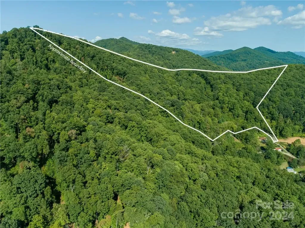 58 Grooms Road Candler NC 28715