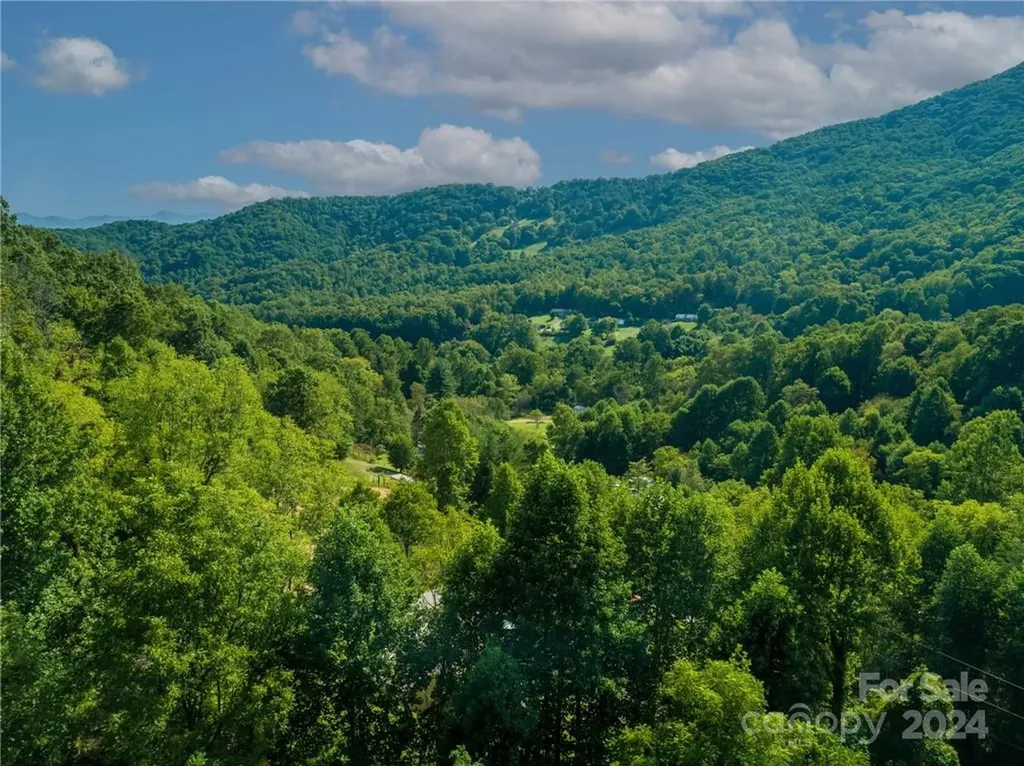 58 Grooms Road Candler NC 28715