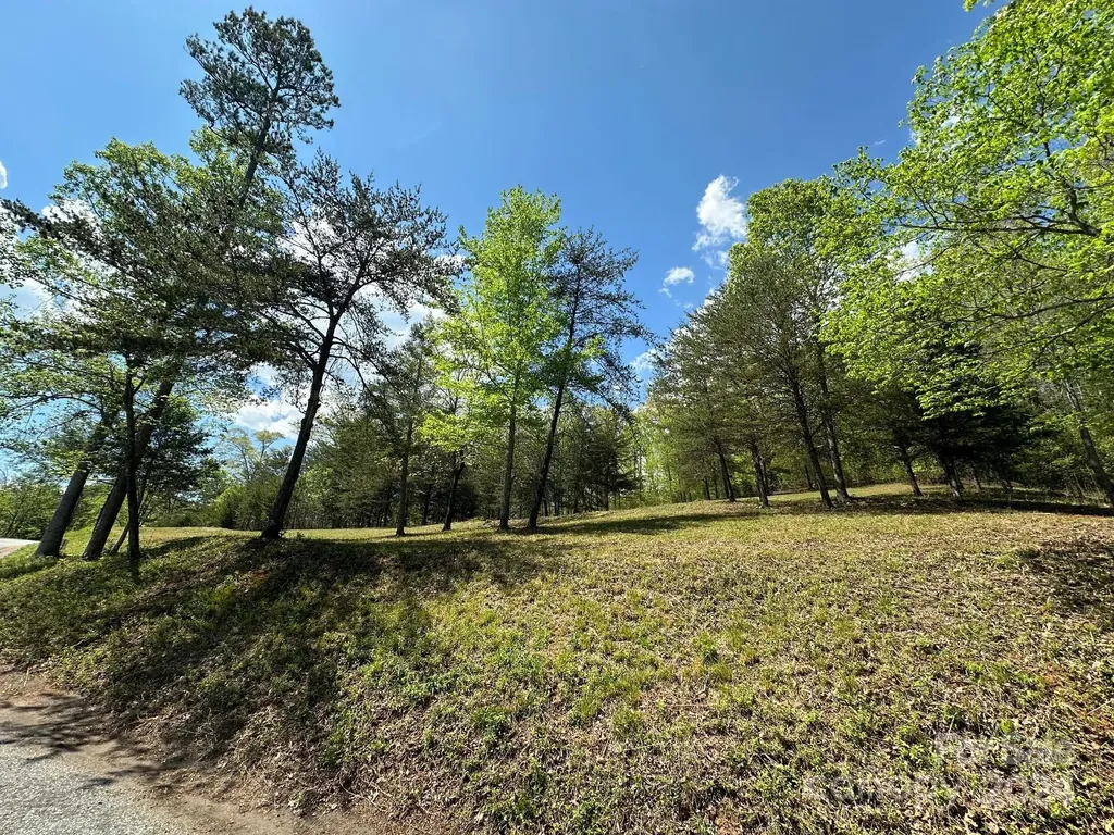 306 Rock Ledge Drive Lake Lure NC 28746