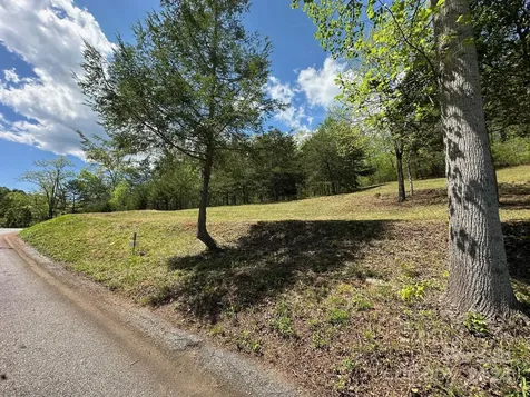 306 Rock Ledge Drive Lake Lure NC 28746
